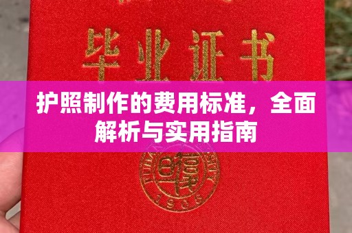 锦江护照制作的费用标准，全面解析与实用指南